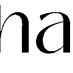 Thay Cestas e Buquês logo