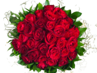 BUQUÊ 30 ROSAS PREMIUM