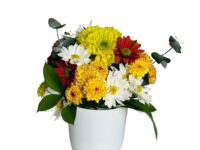 Flower Lind com arranjo floral colorido em vaso de acrílico para presente em Araruama