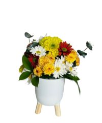 Flower Lind com arranjo floral colorido em vaso de acrílico para presente em Araruama
