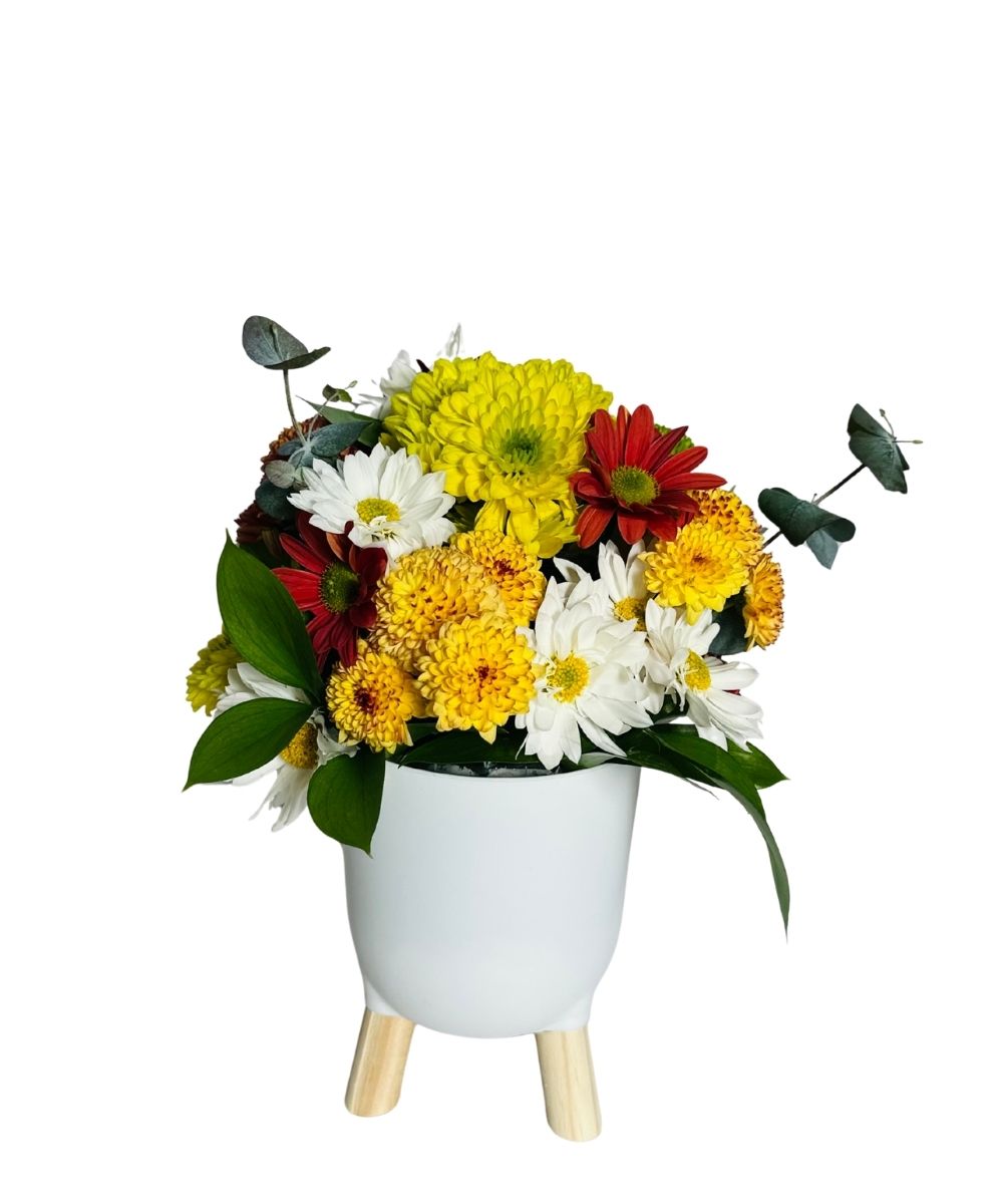 Flower Lind com arranjo floral colorido em vaso de acrílico para presente em Araruama