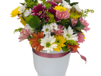Flower Lind – Arranjo Floral de Margaridas em Cachepot