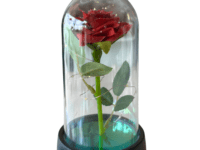 Rosa Encantada Eterna – Rosa Vermelha em Cúpula