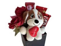 Cesta com rosas eternas, pelúcia e chocolates para presente em Araruama