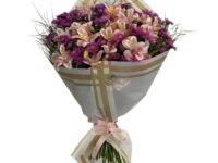 Buque de Astromélias