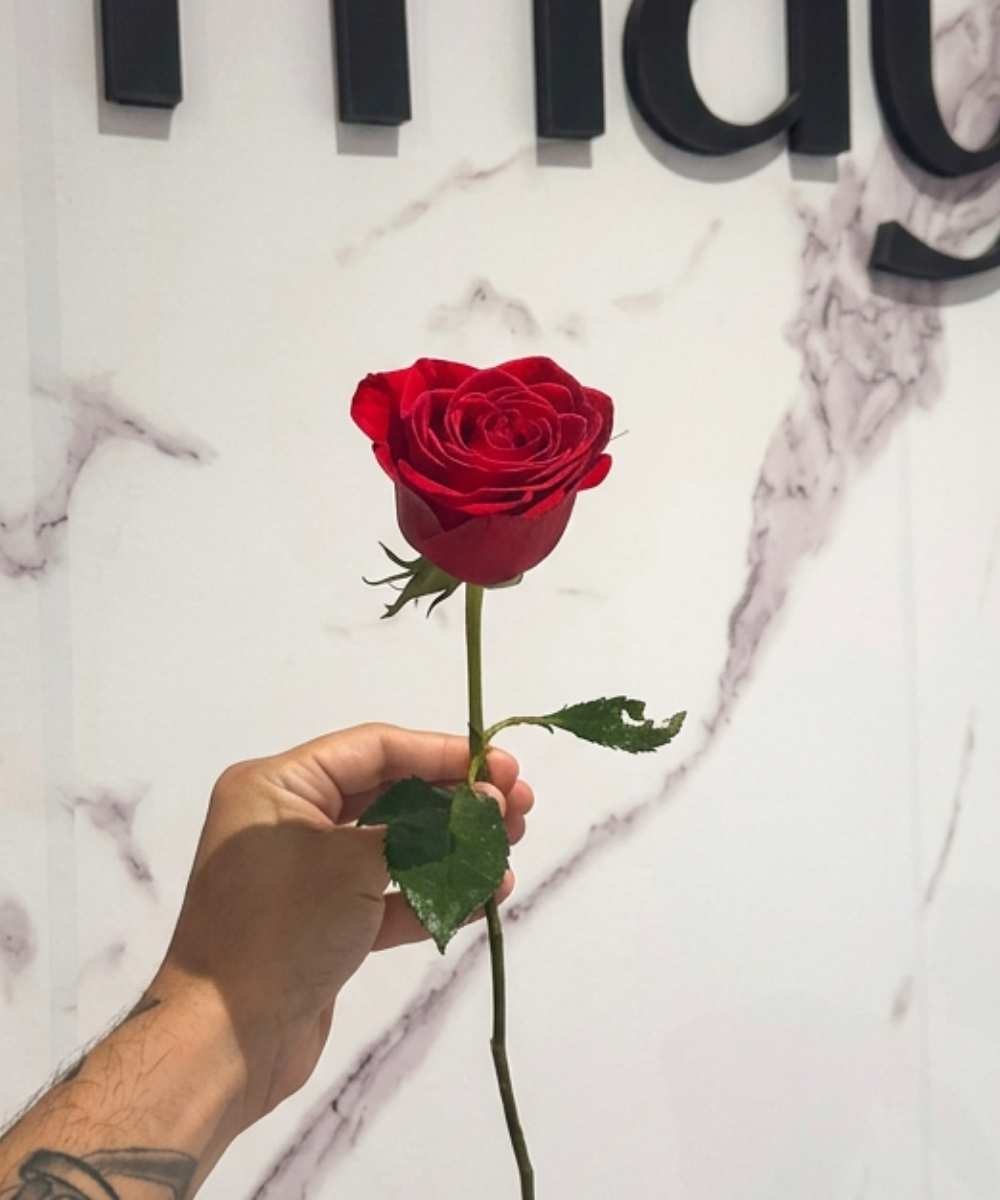 Rosa Vermelha Unidade para presente em Araruama