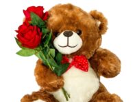 Urso de pelúcia com rosas na mão para presente em Araruama