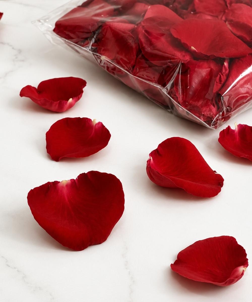 Pétalas de Rosas Naturais 3 Pétalas de rosas naturais vermelhas para decoração romântica em Araruama