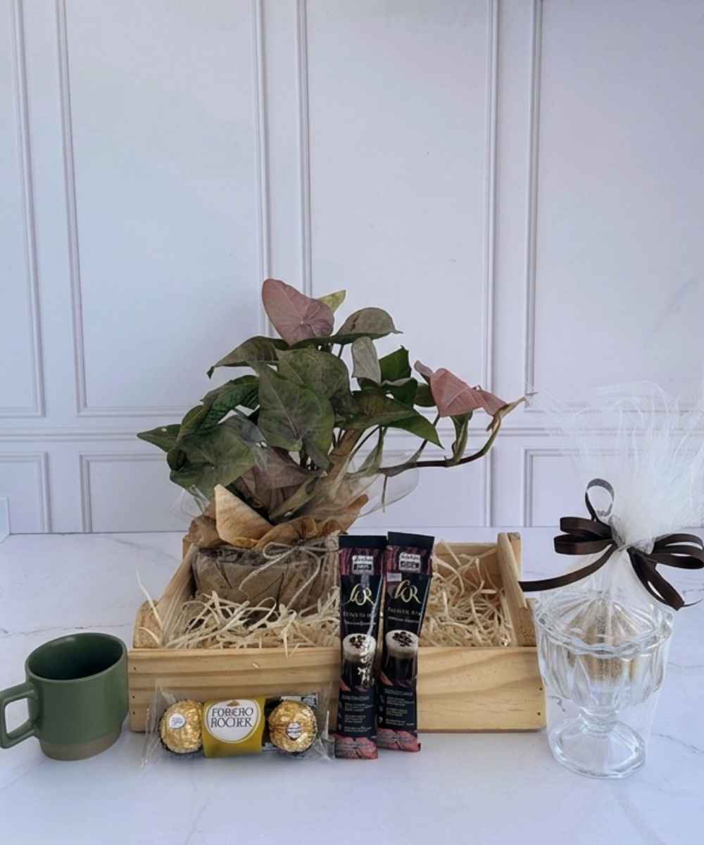 Buquês e Cestas em Araruama | Entrega Rápida - Thay Cestas e Buquês 50 Cesta Flamingo com Syngonium Rosa, Ferrero Rocher e cappuccino para presente em Araruama