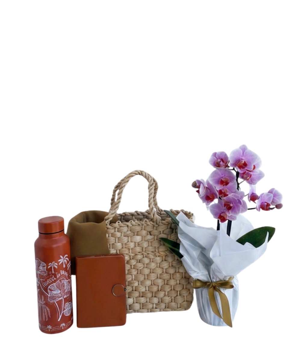 Cesta Florescer com orquídea, garrafa inox e agenda para presente em Araruama