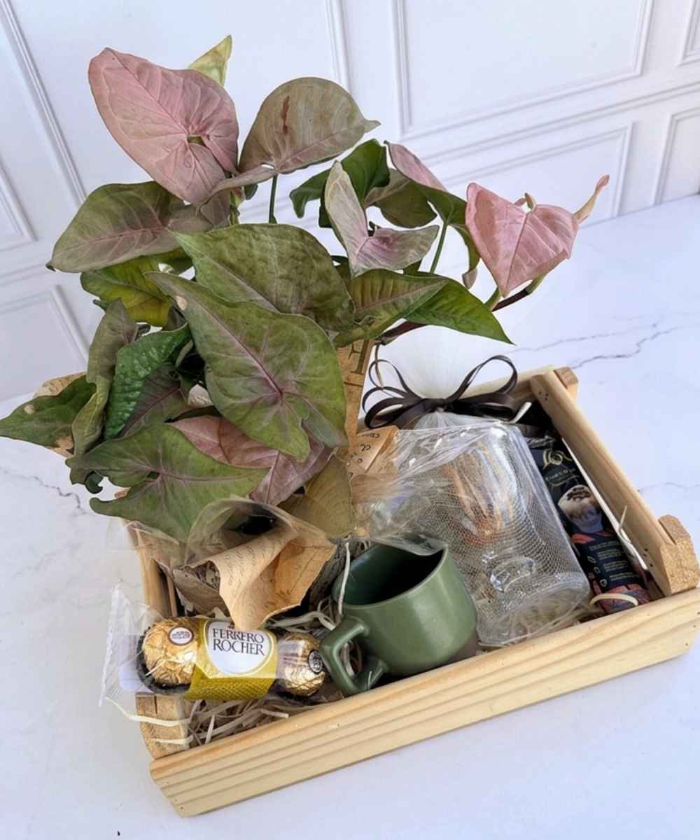 Cesta Flamingo com Syngonium Rosa, Ferrero Rocher e cappuccino para presente em Araruama