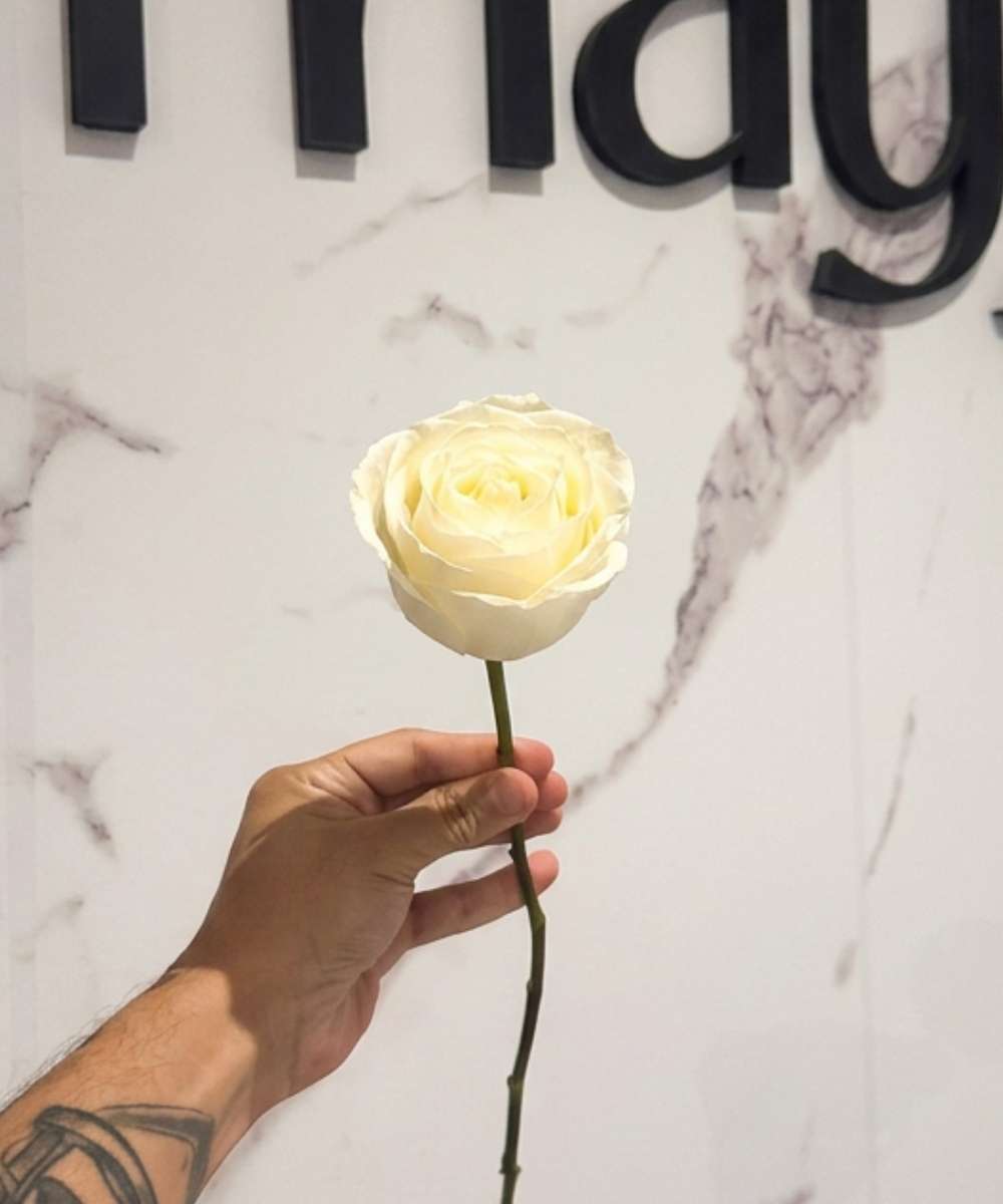 Rosa Branca Unidade para presente em Araruama