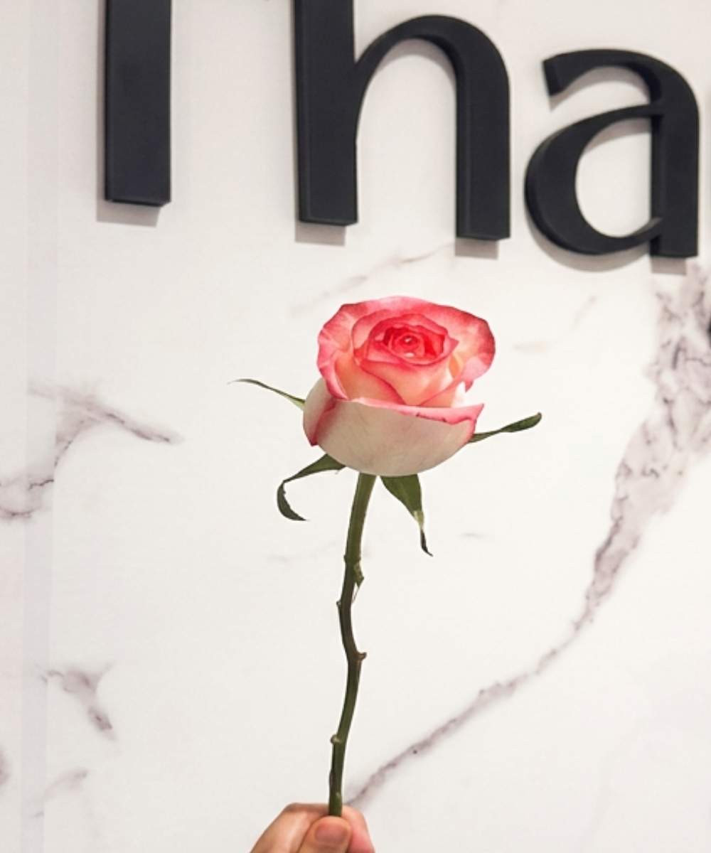 Rosa Frisante Unidade com pétalas rosa e bordas pink para presente em Araruama