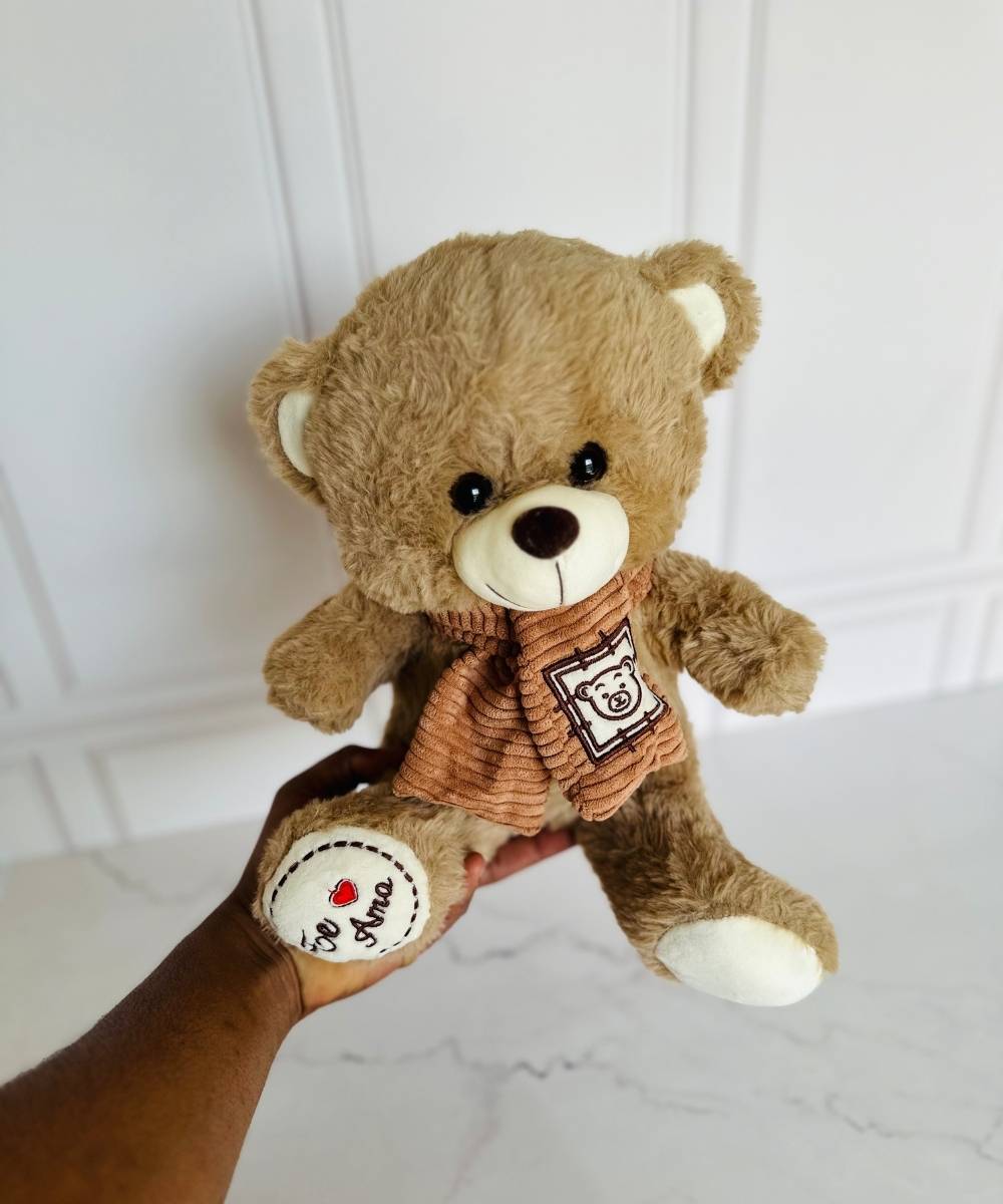 Urso de pelúcia com cachecol de 30cm para presente em Araruama