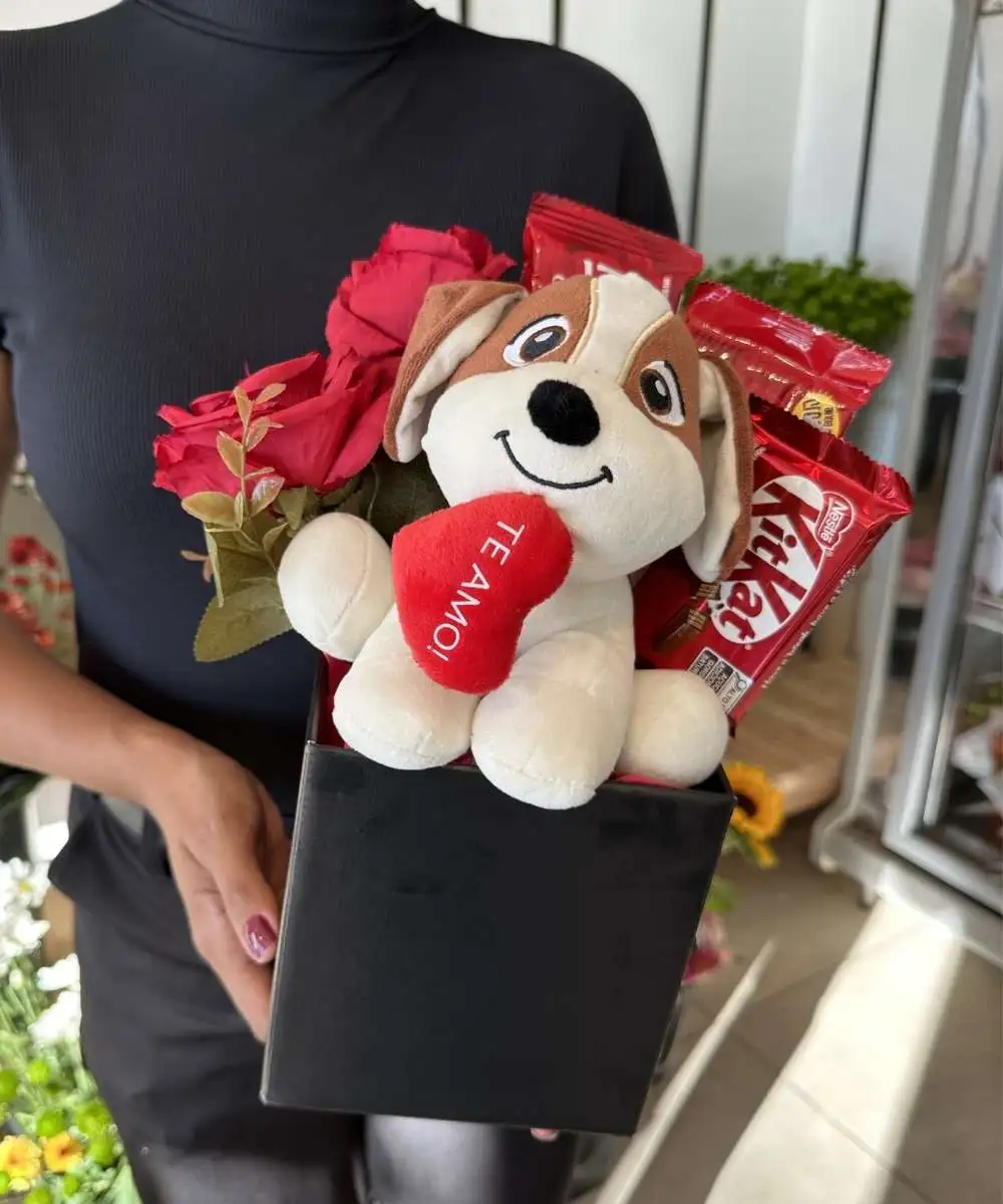 Cesta com rosas eternas, pelúcia e chocolates para presente em Araruama