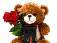 Urso de pelúcia com rosas e chocolate Miau Cacau Show para presente em Araruama