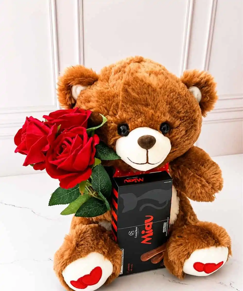 Pelúcia Chocolate 4 Urso de pelúcia com rosas e chocolate Miau Cacau Show para presente em Araruama